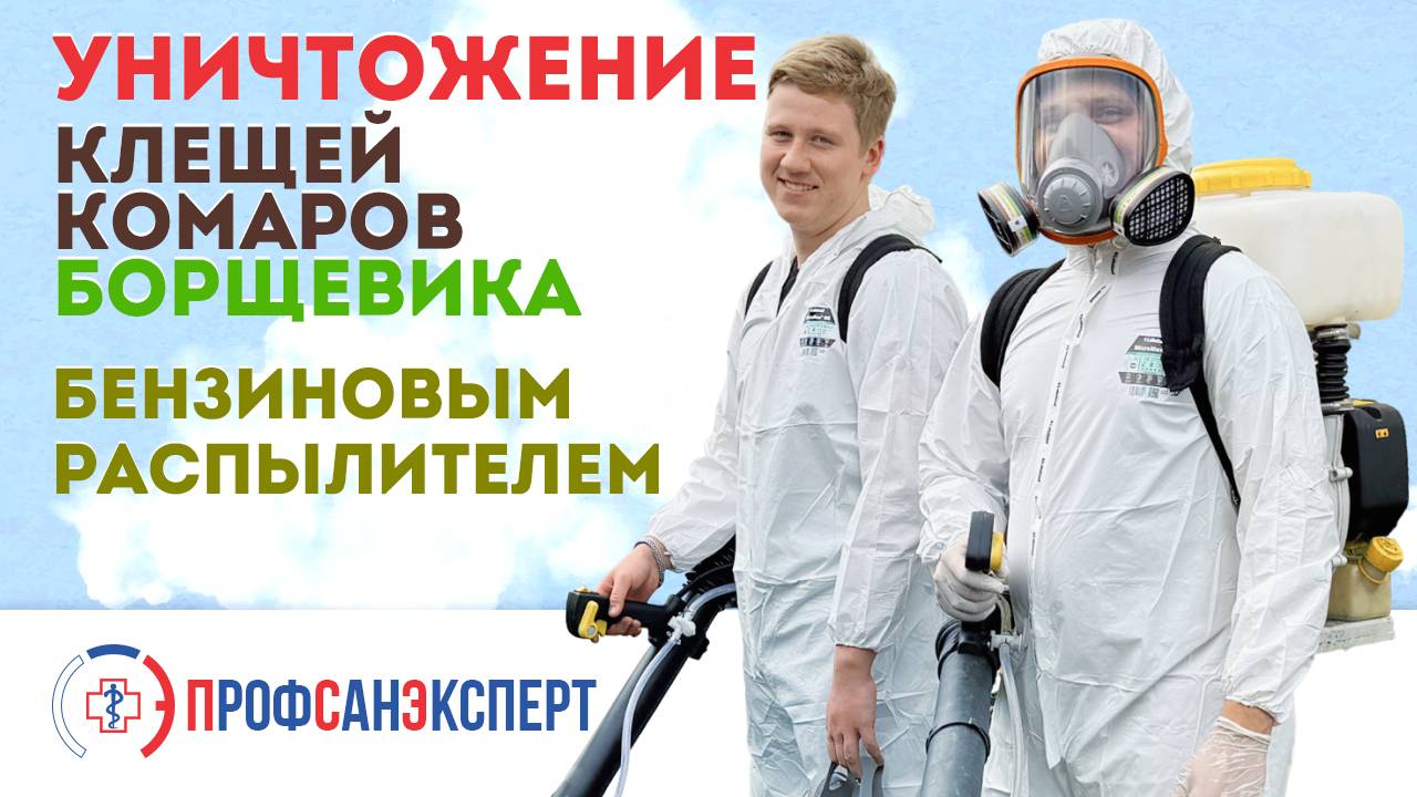 Видео превью